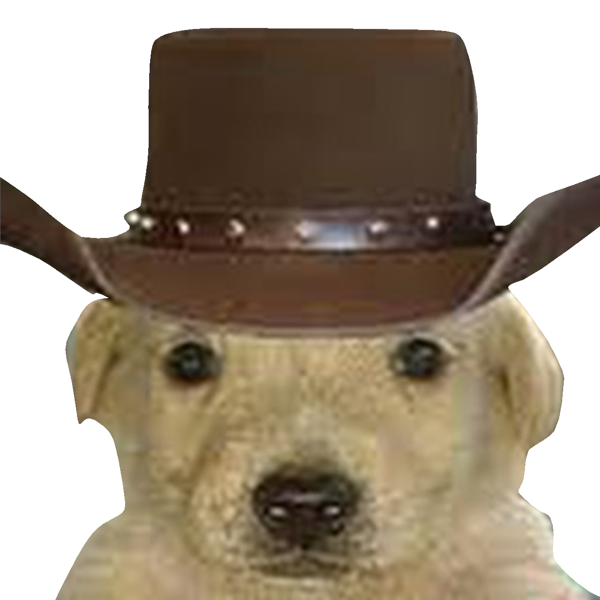 The yee to your haw